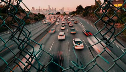 当年某某药酒真的抓了谭秦东，但这次西贝不可能抓罗永浩